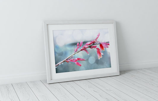 Pink Leaves