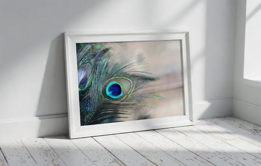 Peacock Feather