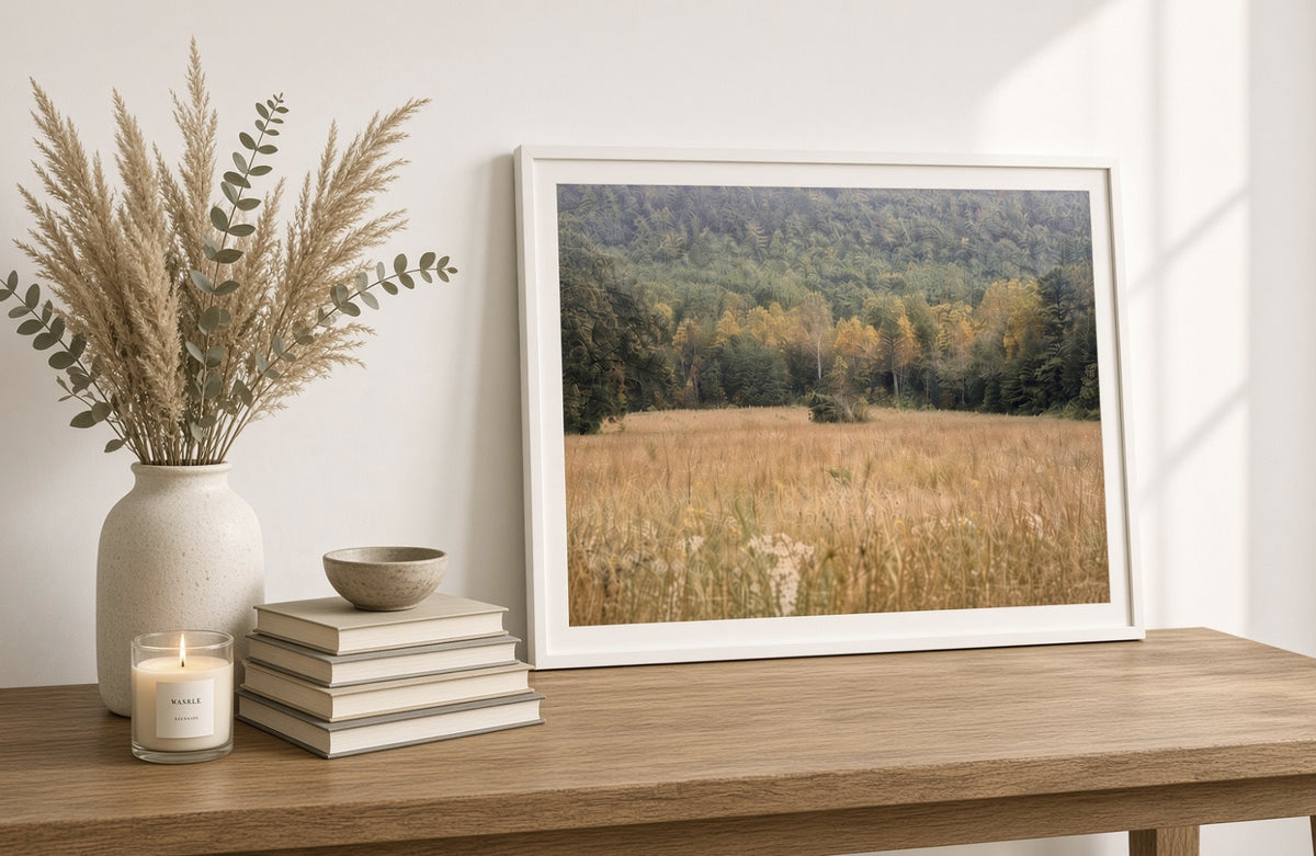 Cades Cove in the Smoky Mountains