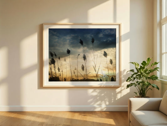 Cattails at Sunset