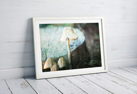 Wild Mushroom