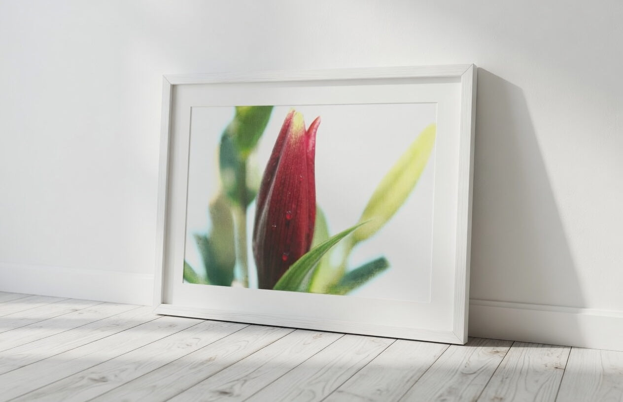 Lily Bud
