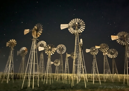 Windmill Farm