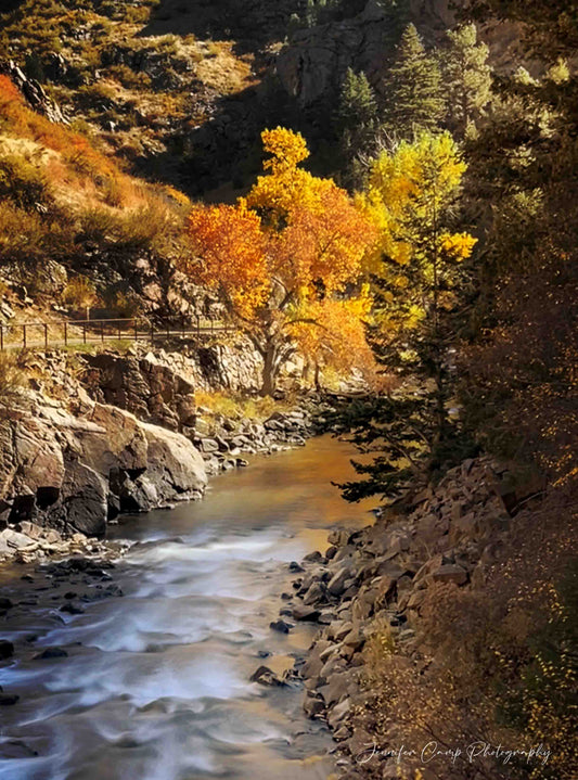 Golden Colorado