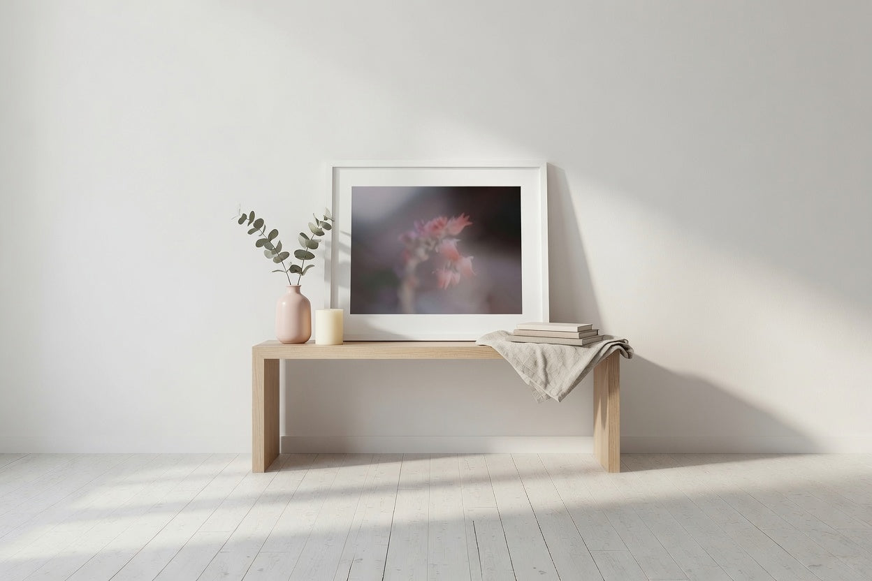 Soft pink succulent Flower Blooms