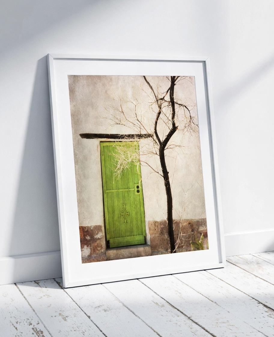 Adobe Green Door