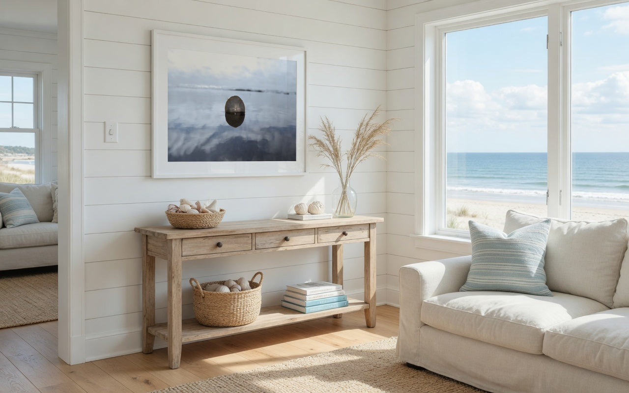 Sand Dollar