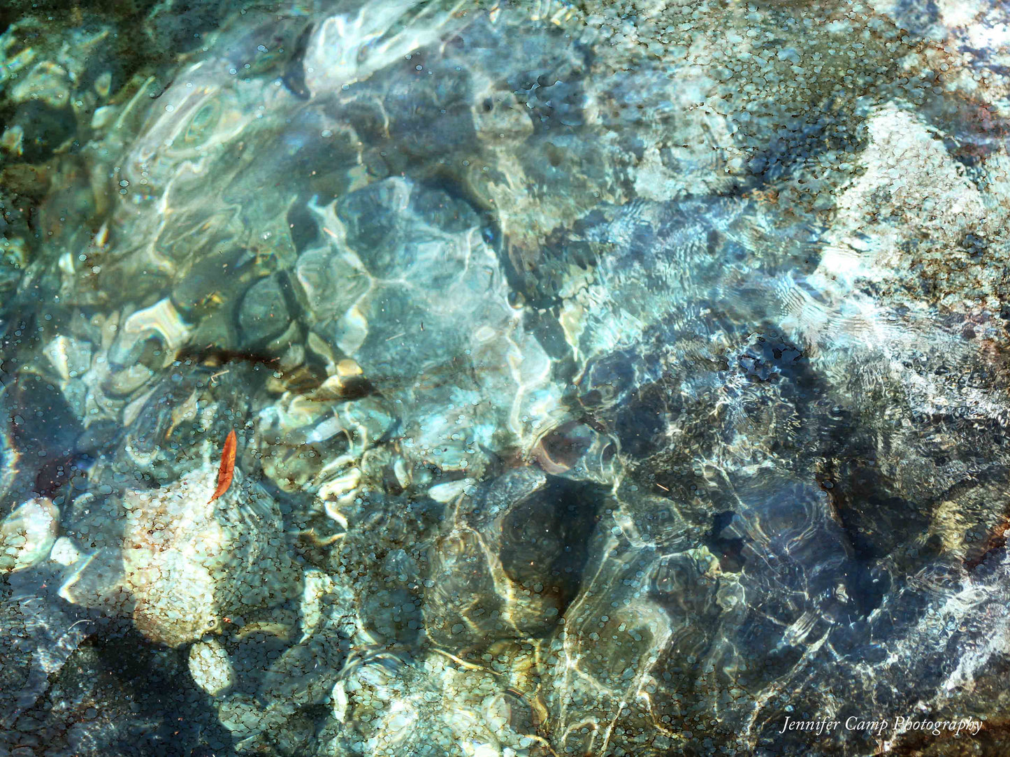 Ocean Beach Abstract