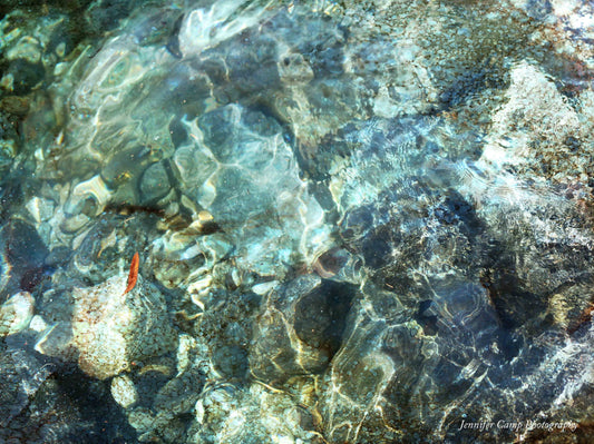 Ocean Beach Abstract