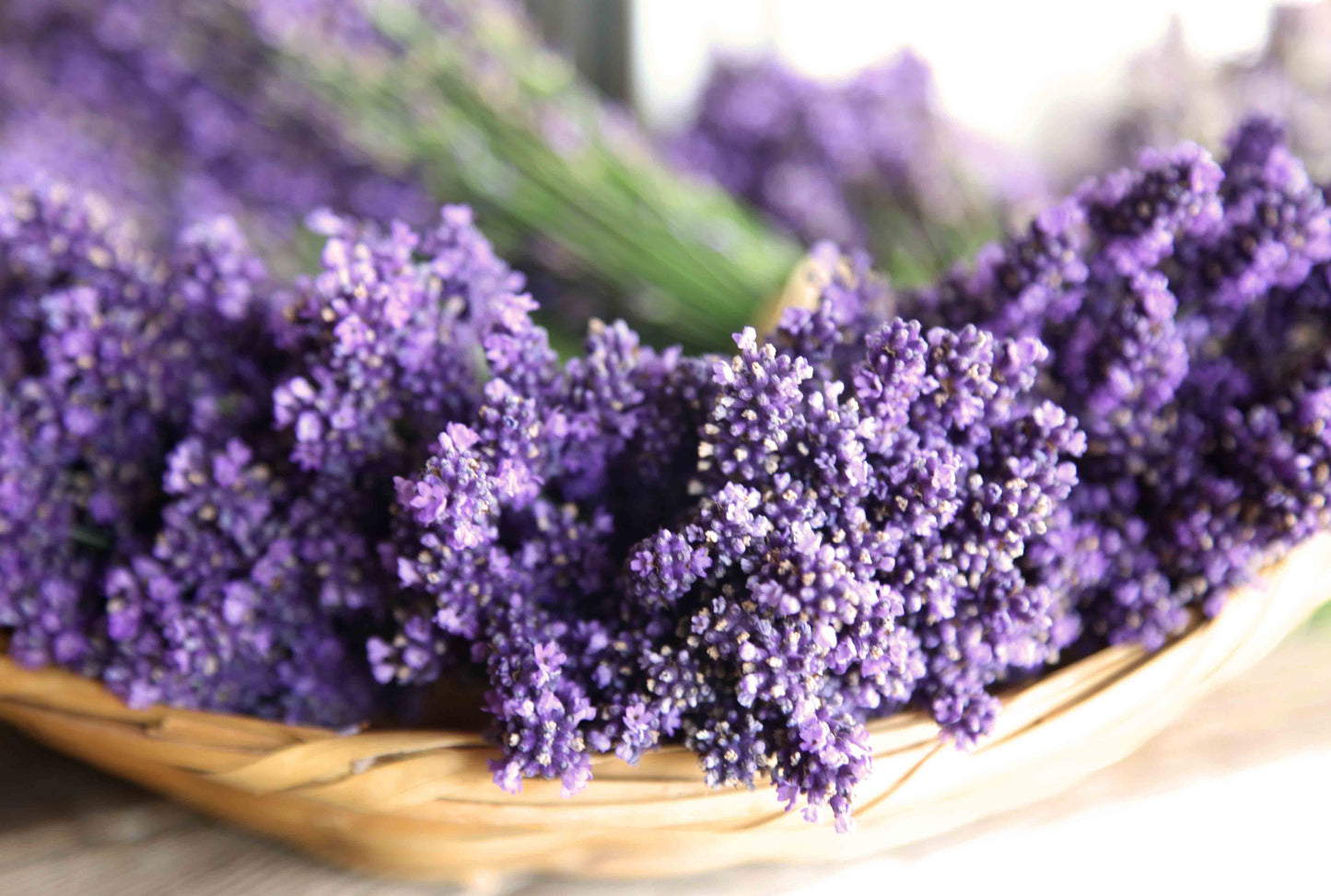 Dried Lavender Bowl