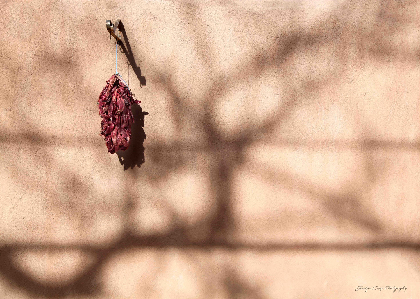 Dried Chili's