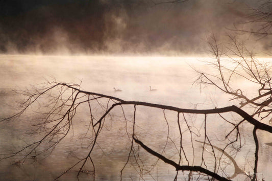 East Tennessee Sunrise Print