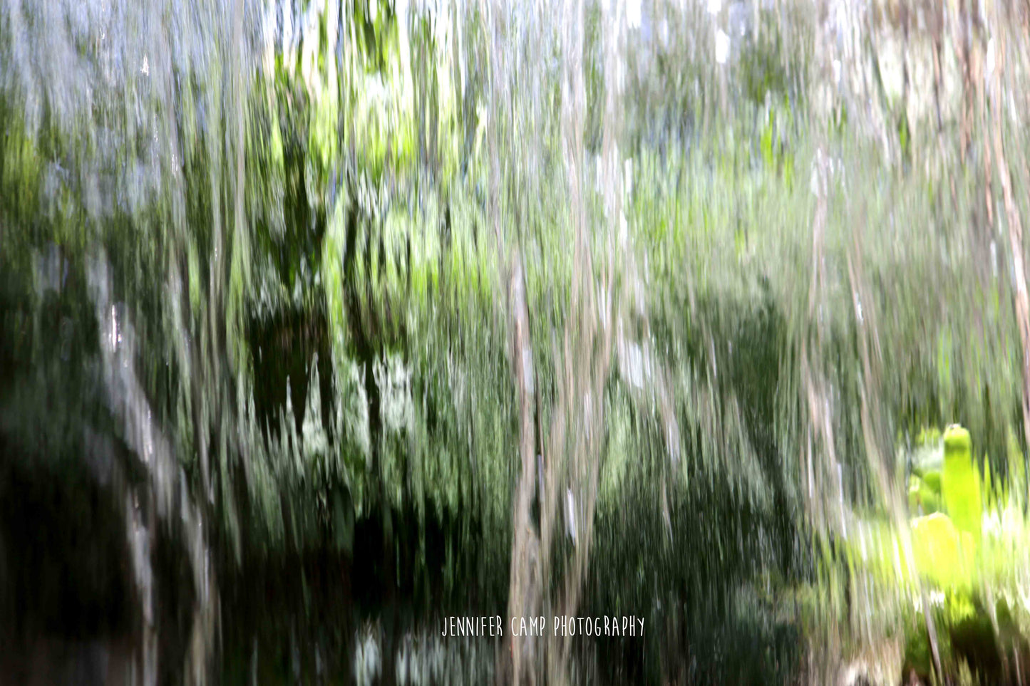 Tree Reflection