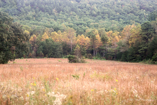 Cades Cove in the Smoky Mountains