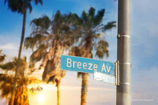 Venice Beach