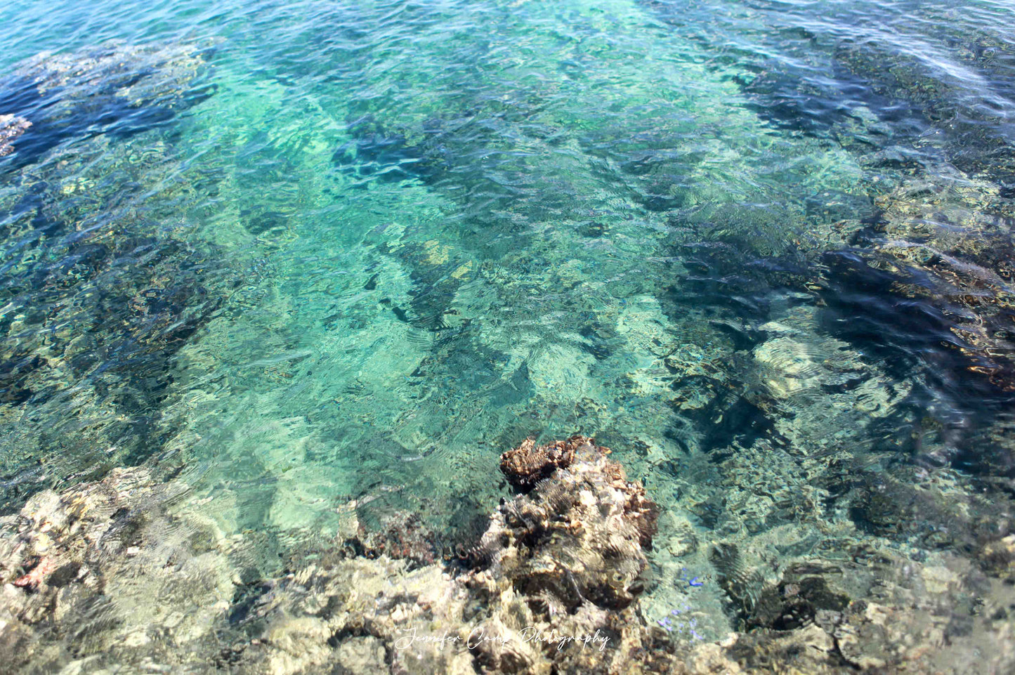 Turquoise Ocean Reef