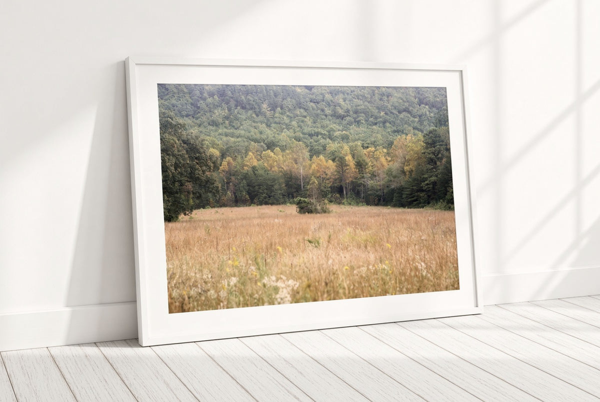 Cades Cove in the Smoky Mountains