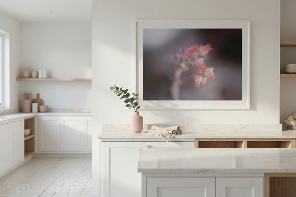 Soft pink succulent Flower Blooms