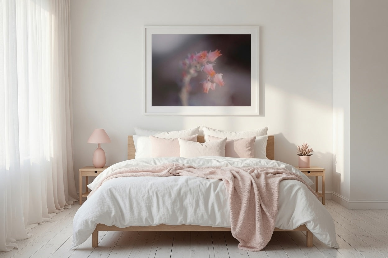 Soft pink succulent Flower Blooms