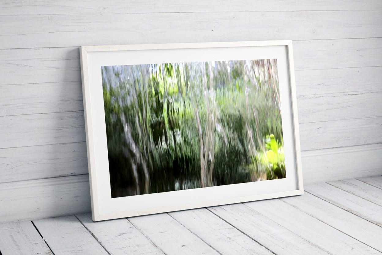 Tree Reflection