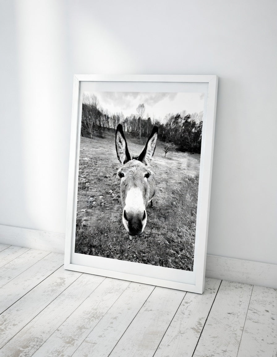 Donkey Portrait