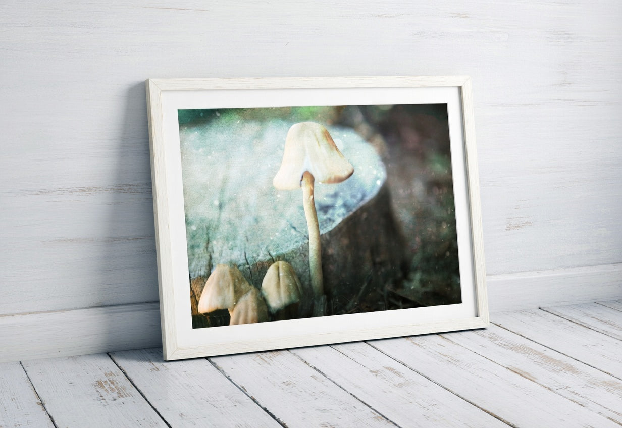 Wild Mushroom
