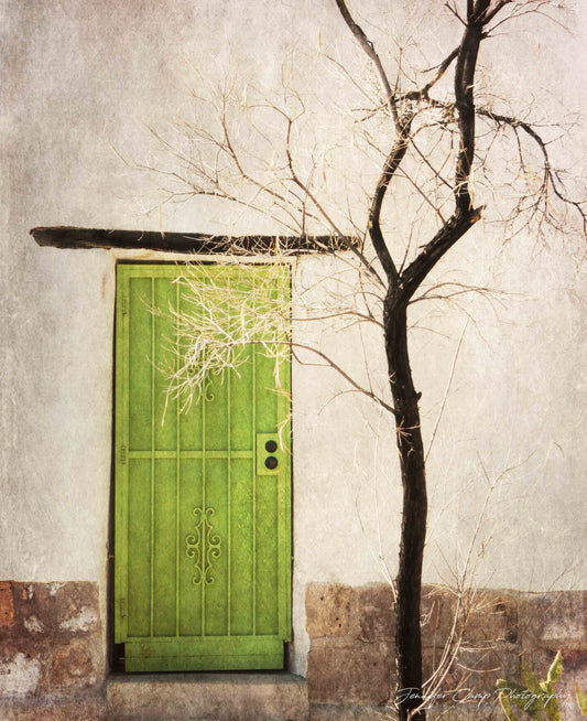 Adobe Green Door