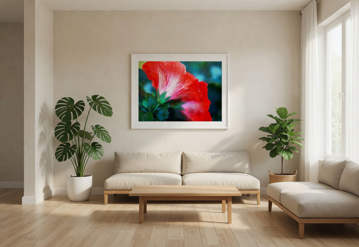 Red Hibiscus