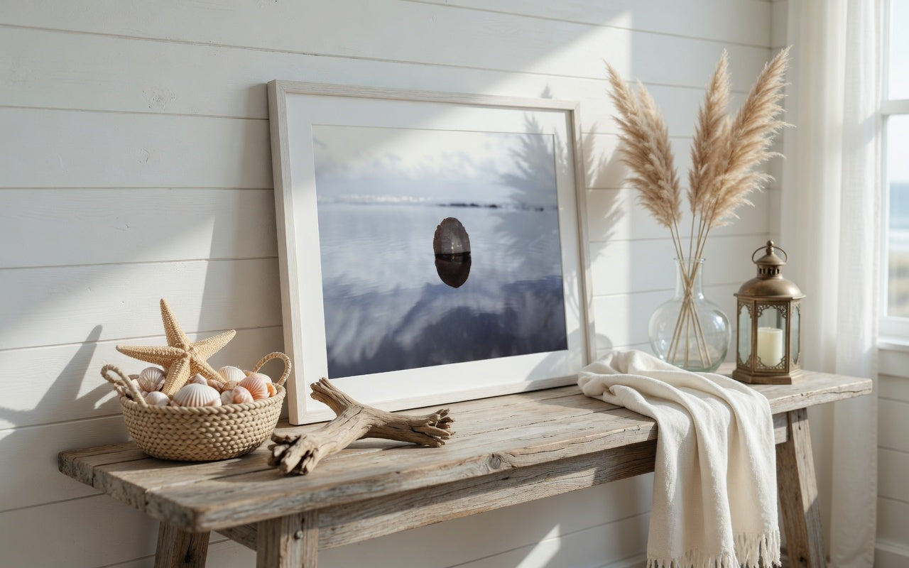 Sand Dollar